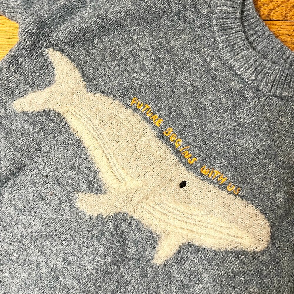 Zara 3T The Future Begins with Us Whale Grahic Knit Sweater